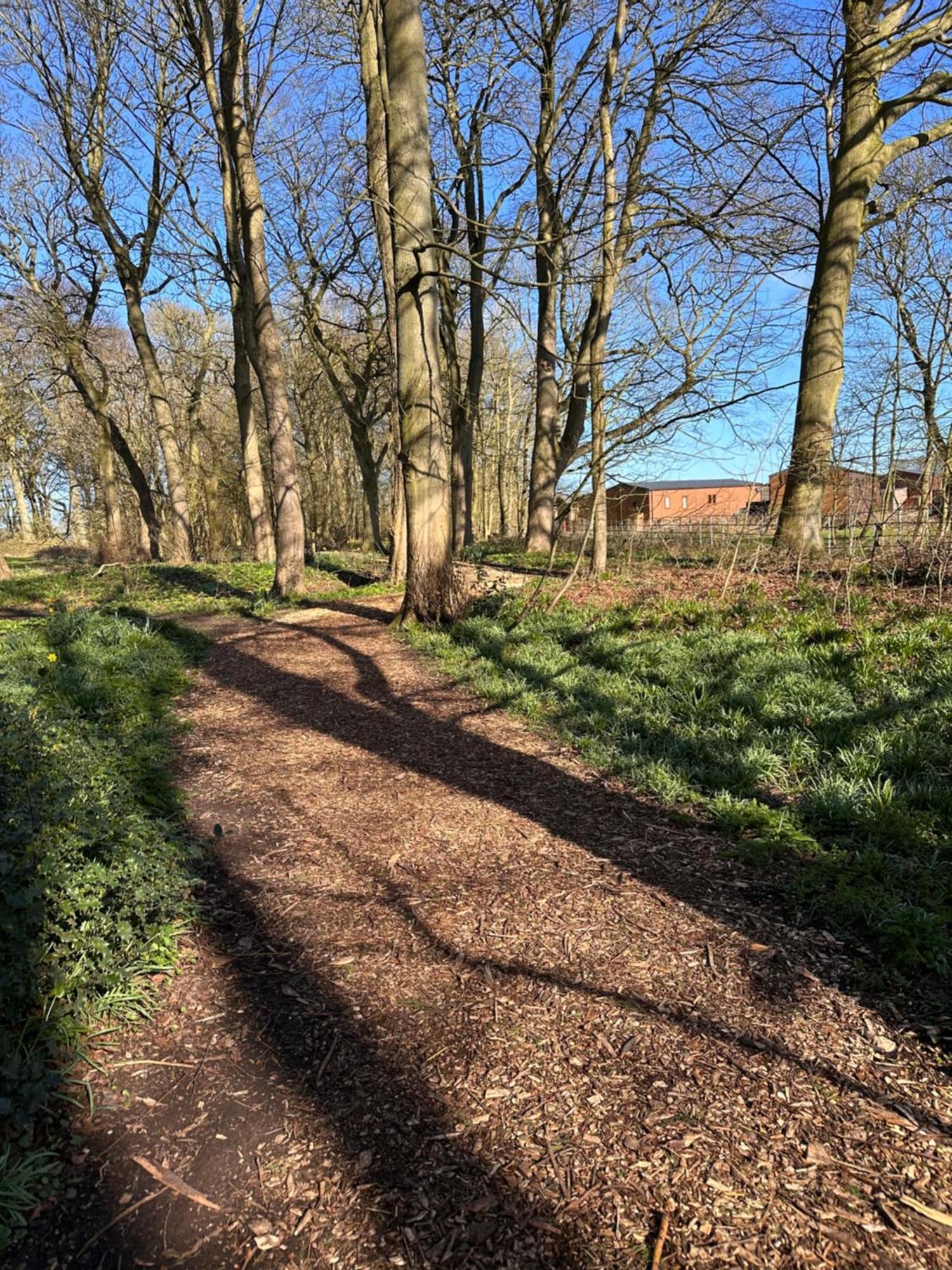 Max'S Woodland Lodge Bridlington Kültér fotó