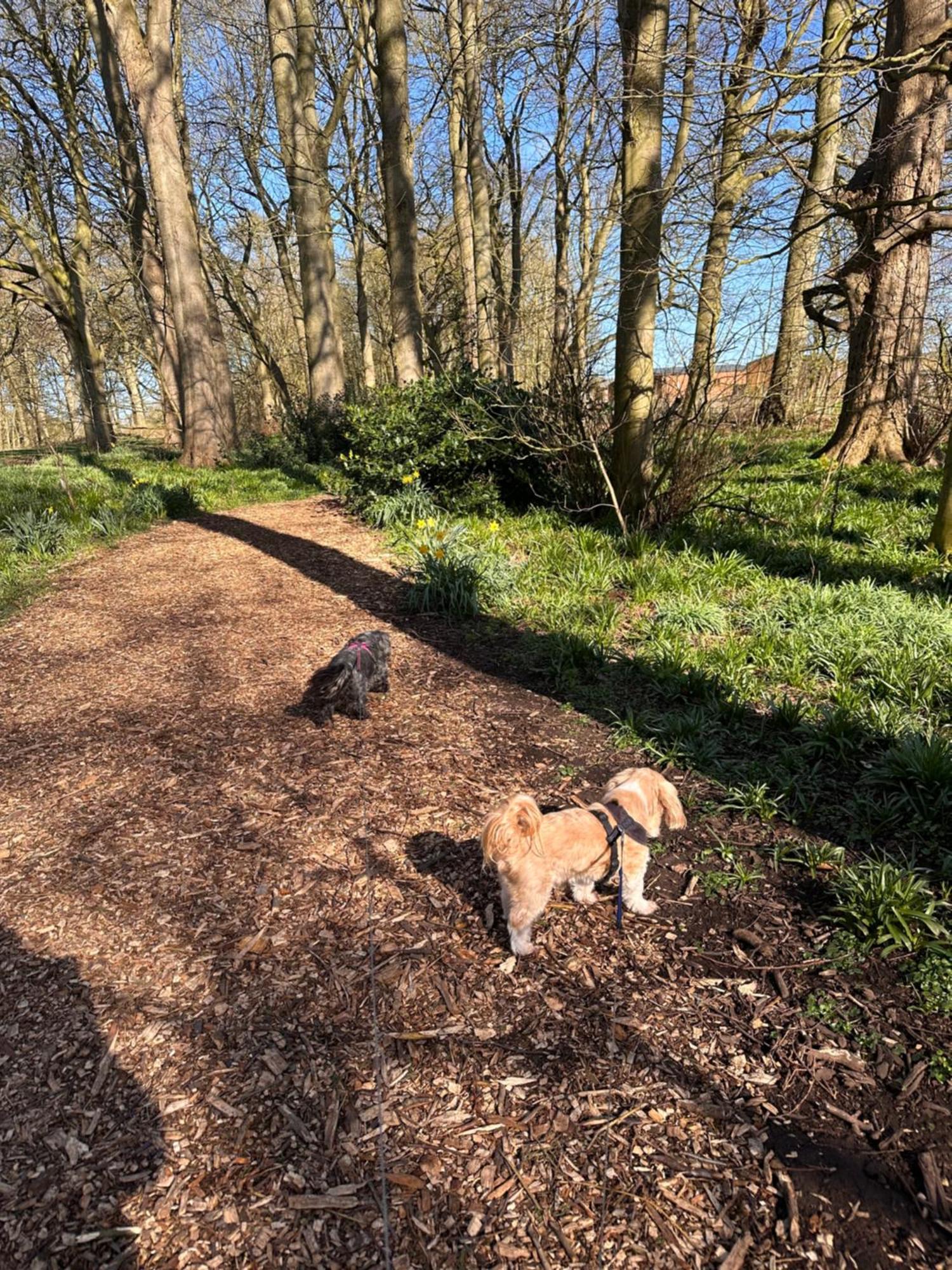 Max'S Woodland Lodge Bridlington Kültér fotó
