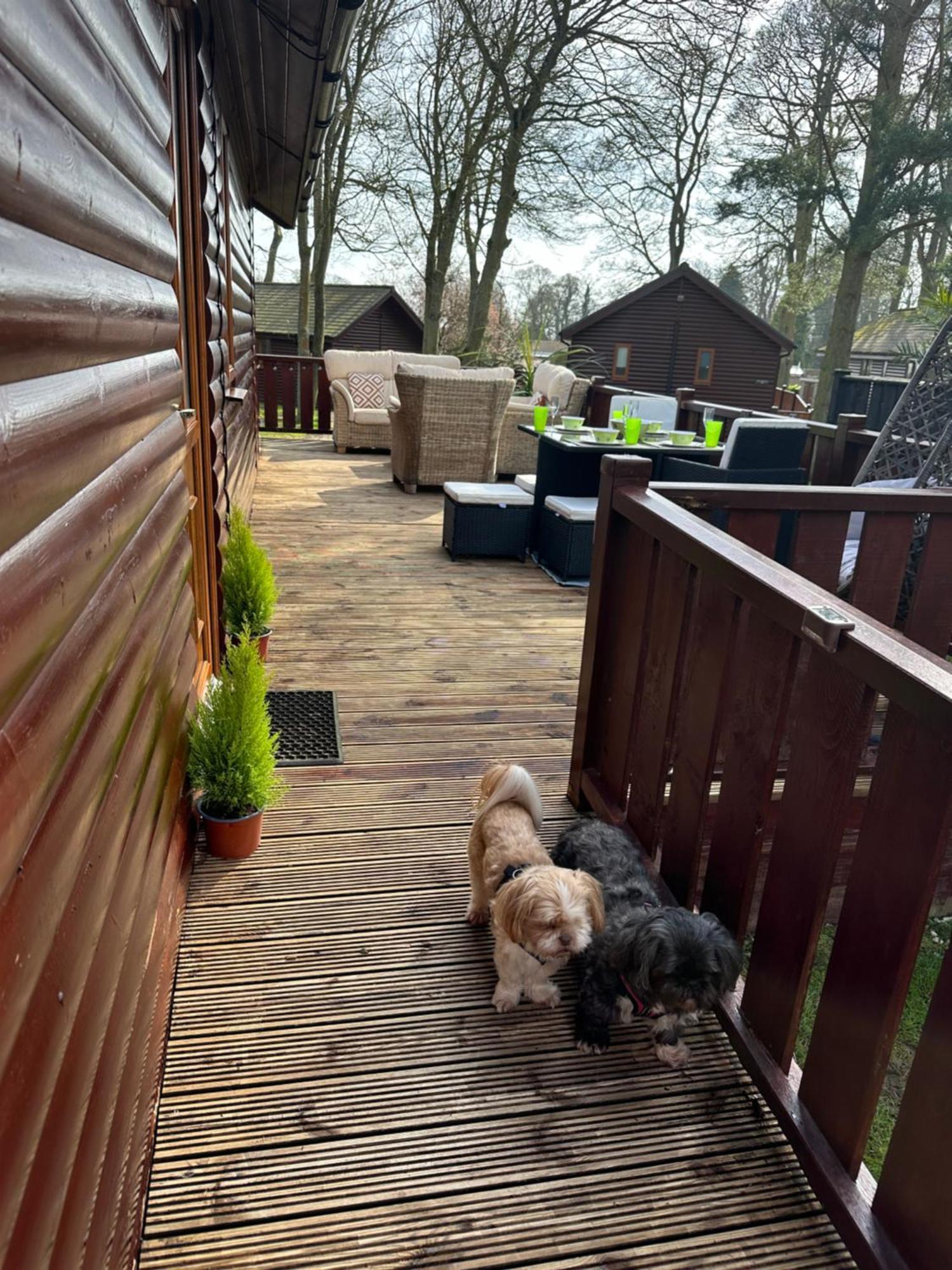 Max'S Woodland Lodge Bridlington Kültér fotó